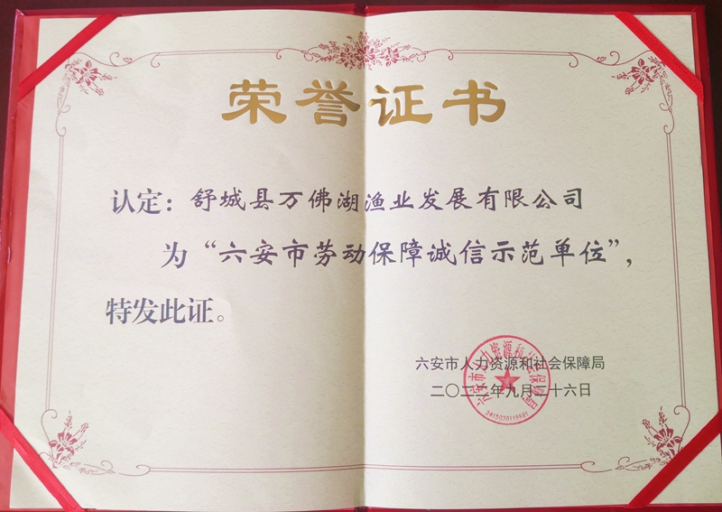 公司榮膺“六安市勞動(dòng)保障誠(chéng)信示范單位”榮譽(yù)稱(chēng)號(hào)